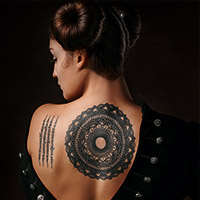 关于Leyu·乐鱼体育